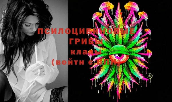соль ск Кукмор