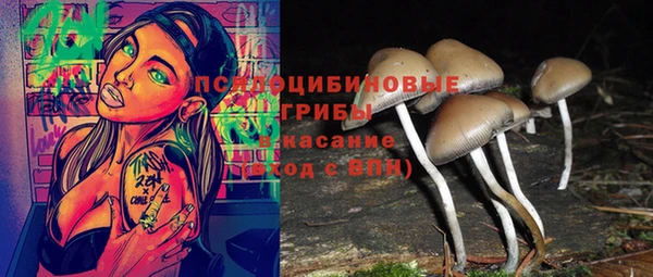 соль ск Кукмор