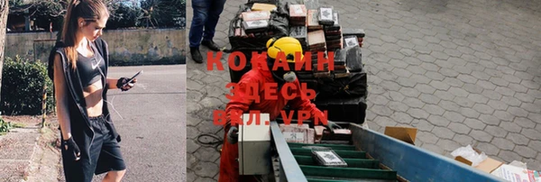 соль ск Кукмор
