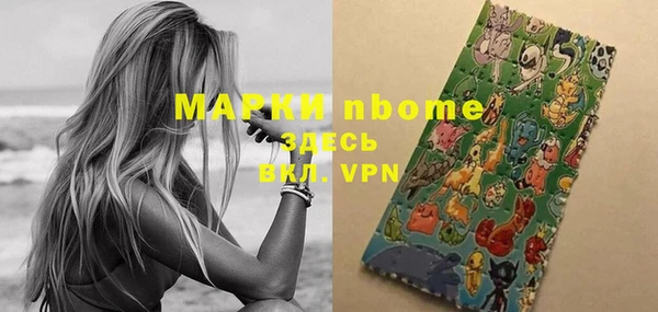 соль ск Кукмор