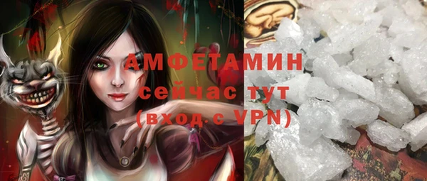 ГАЛЛЮЦИНОГЕННЫЕ ГРИБЫ Кулебаки