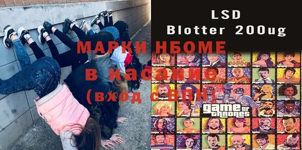ГАЛЛЮЦИНОГЕННЫЕ ГРИБЫ Кулебаки